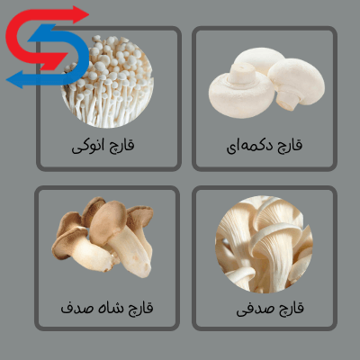 سالن پرورش قارچ