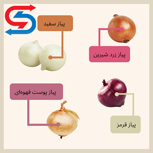 نحوه نگهداری پیاز در انباری