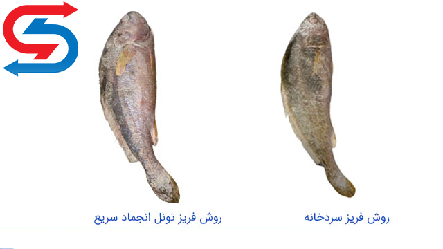 کیفیت محصول