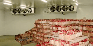 ذخیره سازی مواد غذایی در سردخانه