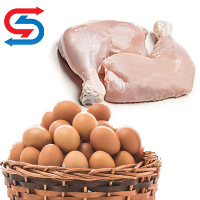 سردخانه مرغ و تخم مرغ