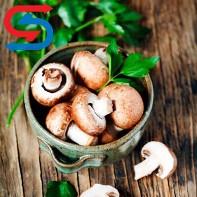 سردخانه قارچ