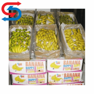 سردخانه نگهداری موز