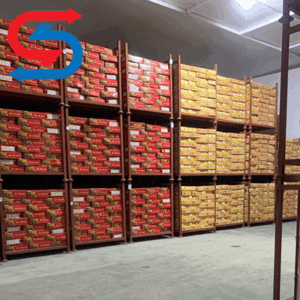 سردخانه نگهداری انگور