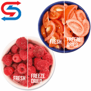 فریز درایر میوه