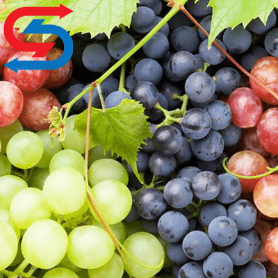 سردخانه نگهداری انگور