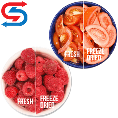 دستگاه میوه خشک کن فریز درایر