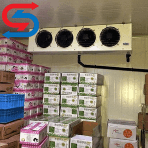 نگهداری انار در سردخانه