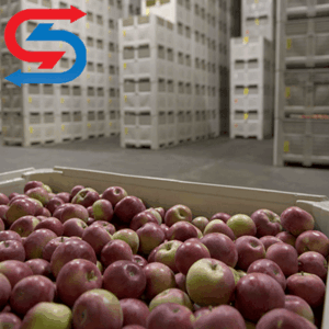 هزینه ساخت سردخانه میوه