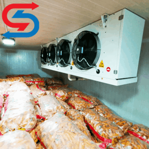 سردخانه نگهداری هویج