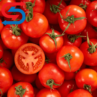 نگهداری گوجه فرنگی در سردخانه