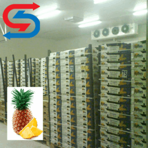 نگهداری آناناس در سردخانه