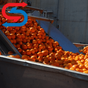 سردخانه پرتقال ساری