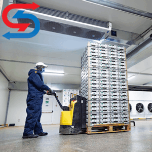 نگهداری آووکادو در سردخانه