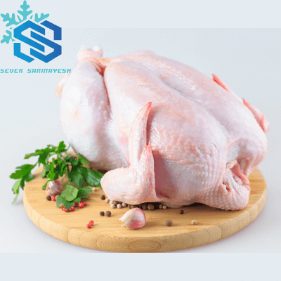 روش نگهداری مرغ