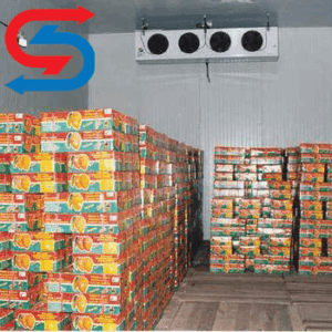 نگهداری انبه در سردخانه