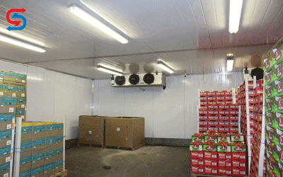 طرح توجیهی سردخانه 100 تنی