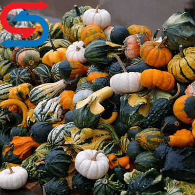 نگهداری کدو در سردخانه