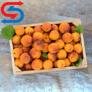 سردخانه زردآلو