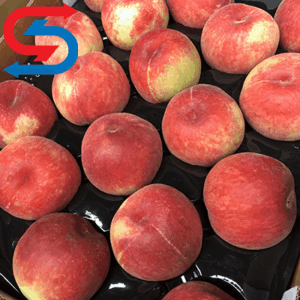 نگهداری هلو و شلیل در سردخانه