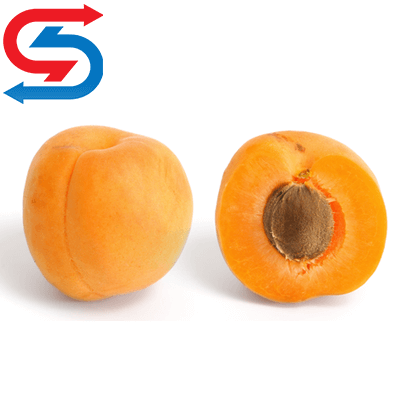 سردخانه زردآلو