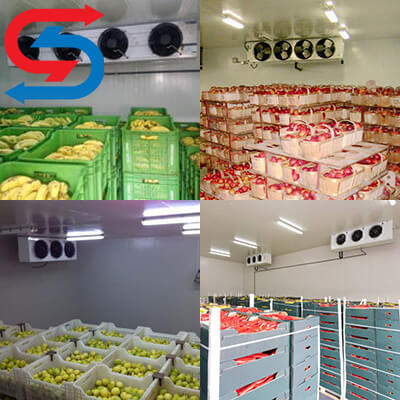 چطورازسردخانه نگهداری کنیم؟